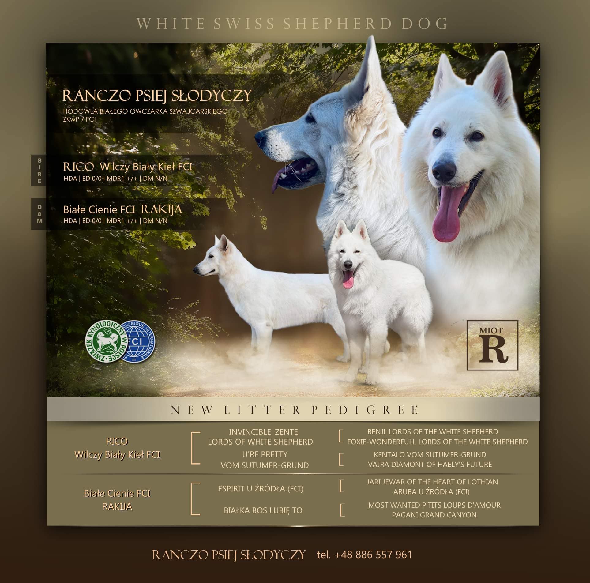 Rakija&Rico